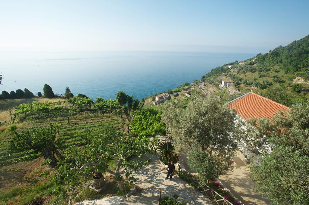 Sopra Il Limoneto Villa Cetara Exterior photo