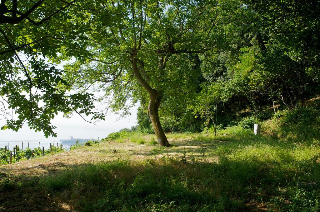 Sopra Il Limoneto Villa Cetara Exterior photo