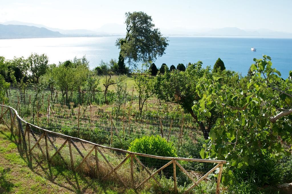 Sopra Il Limoneto Villa Cetara Exterior photo